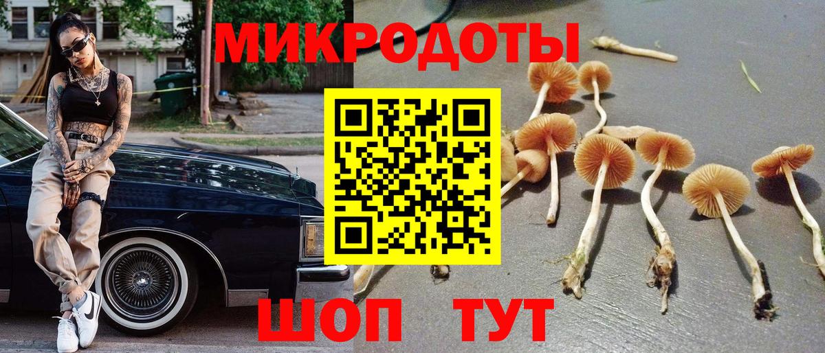Галлюциногенные грибы Magic Shrooms Междуреченск