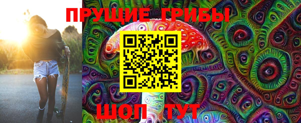 Междуреченск  Галлюциногенные грибы прущие грибы  Вход с VPN 